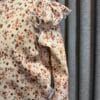 Snoet&Sproet longsleeve ruffle lentebloemen