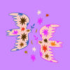 Forex tegeltje love birds