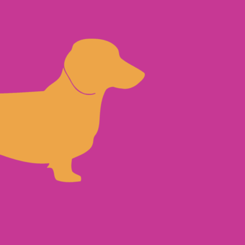 Forex tegeltje teckel fuchsia deel 2