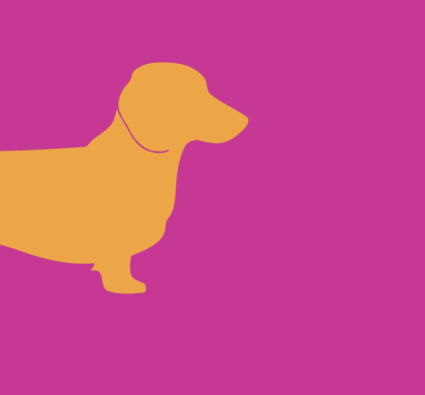 Forex tegeltje teckel fuchsia deel 2