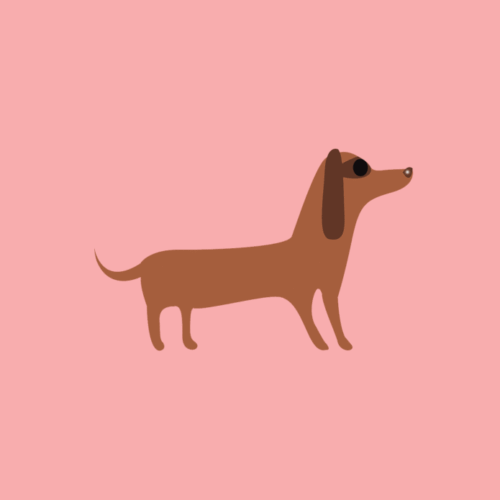 Forex tegeltje hond