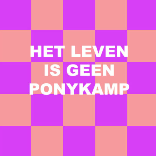 Forex tegeltje ponykamp
