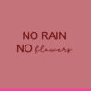Forex tegeltje no rain