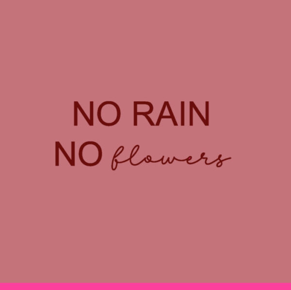 Forex tegeltje no rain