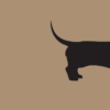 Forex tegeltje teckel deel 1