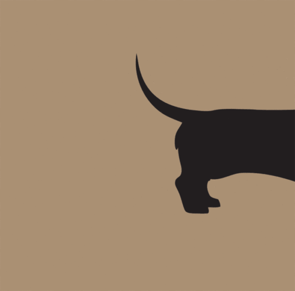 Forex tegeltje teckel deel 1