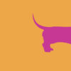 Forex tegeltje teckel fuchsia deel 1