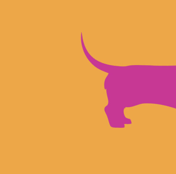 Forex tegeltje teckel fuchsia deel 1