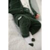 Feetje broek velours rib - wiggle and waddle