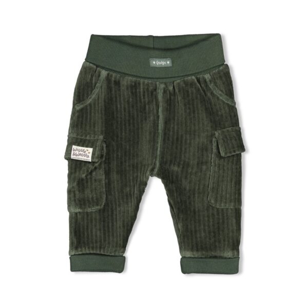 Feetje broek velours rib - wiggle and waddle