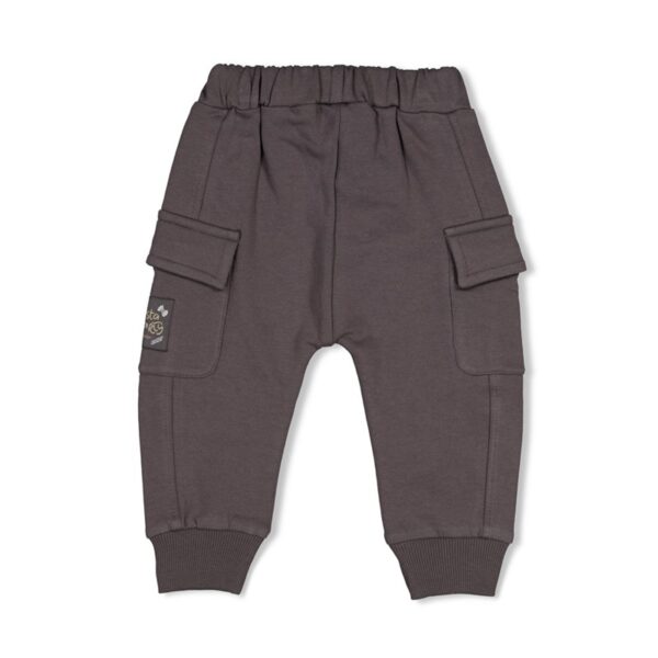 Feetje broek grijs - pasta party -